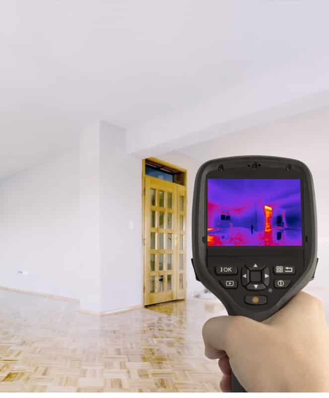 Home &raquo; pest inspections