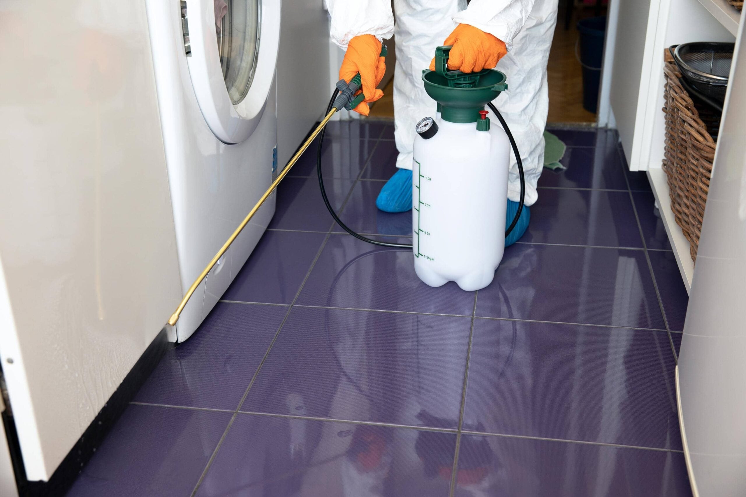Pest Control &raquo; pest control