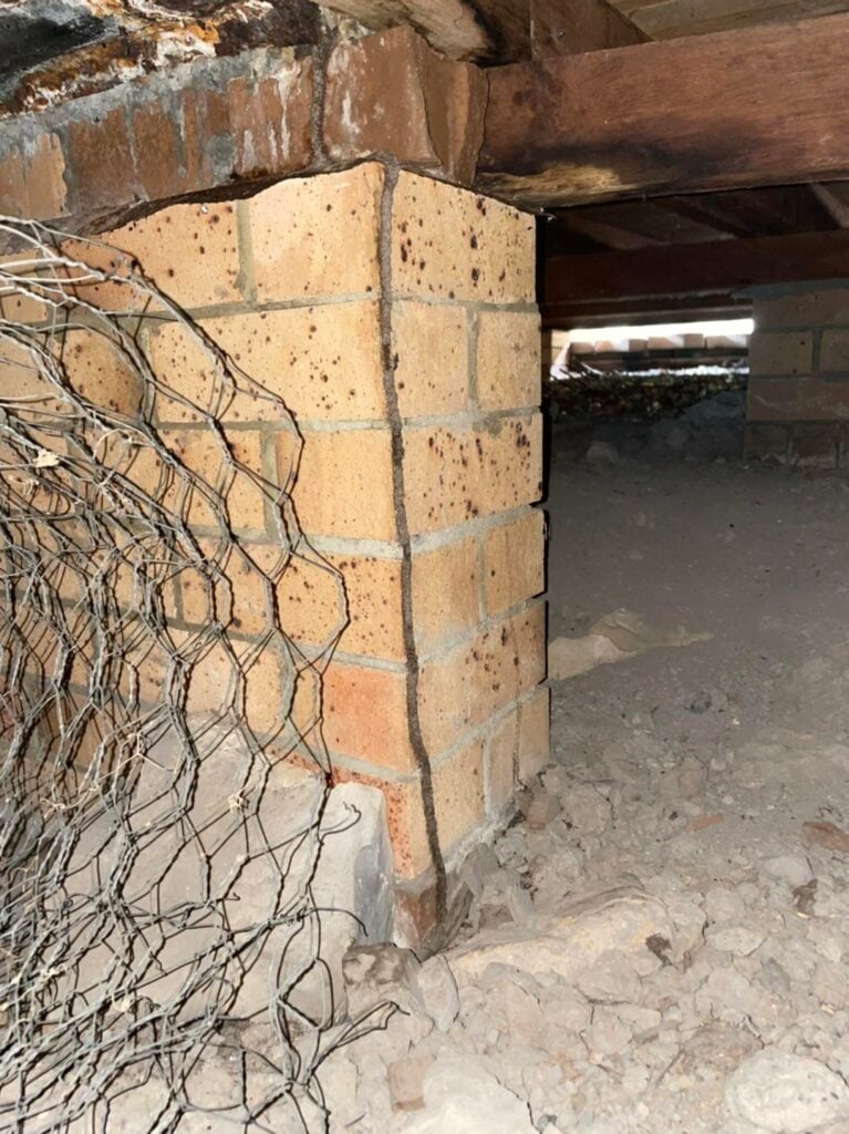 Termite Nests &raquo;