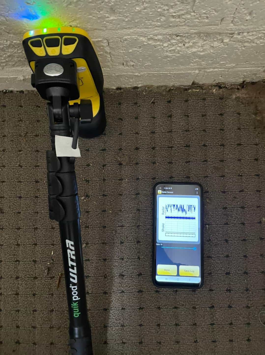 Home &raquo; pest inspections