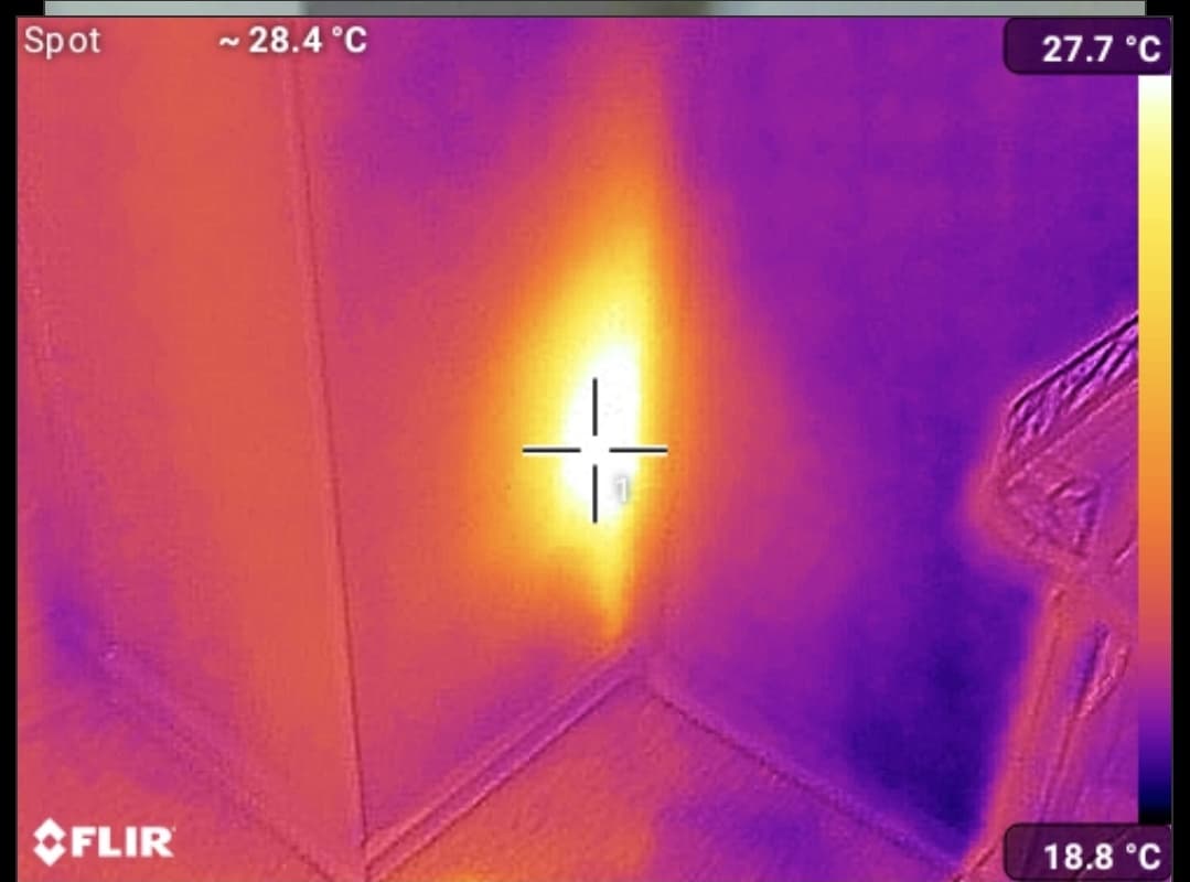 Home &raquo; pest inspections