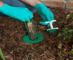 sentricon termite bait system